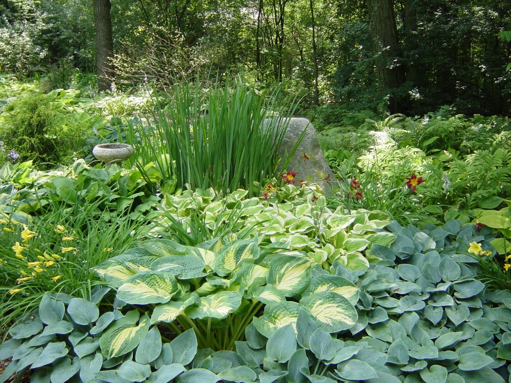 Small Shade Garden Ideas Photograph 100% Natural Hardwood