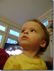 Jan 4 2010 029