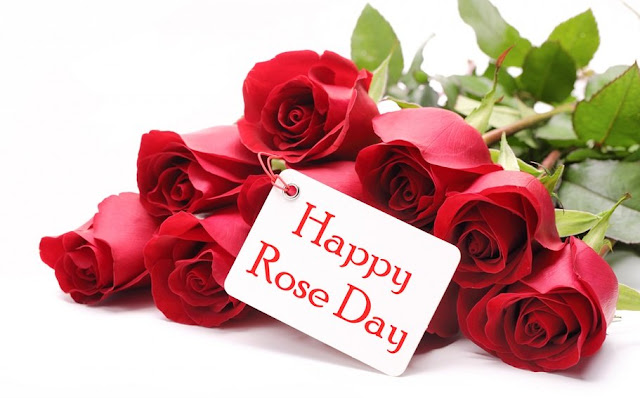 Rose Day Images, Happy Rose Day Images, Happy Rose Day Images