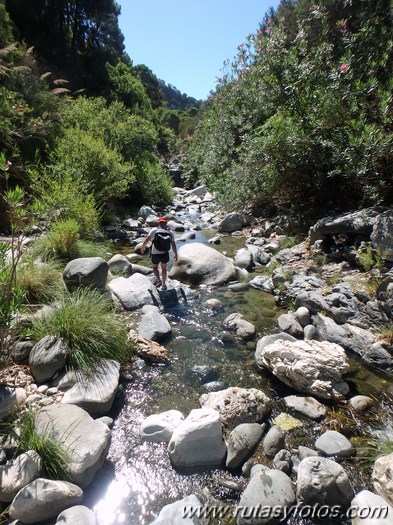 Angosturas del río Guadalmina