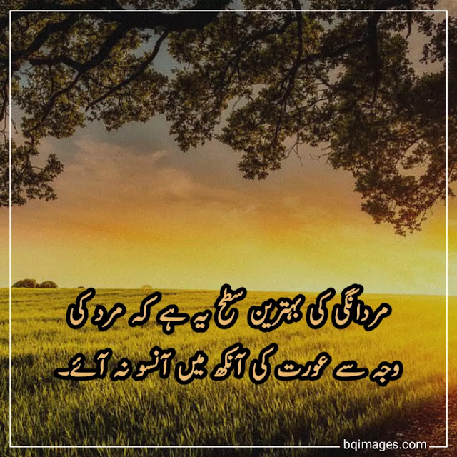 Anmol Moti Quotes in Urdu