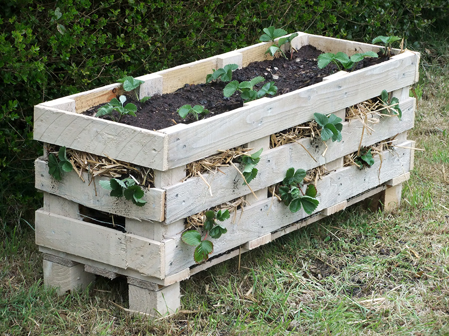 ... up a better Strawberry planter using a single wooden pallet #gardening
