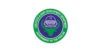 www.livestock.punjab.gov.pk - Punjab Livestock & Dairy Development Department Jobs 2022