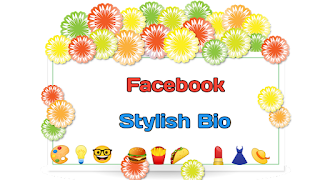 Facebook stylish bio