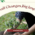 Embracing Sustainable Living: Small Changes, Big Impact 