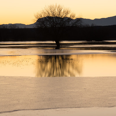 South Loop, Bosque del Apache