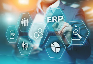 ERP Development Company