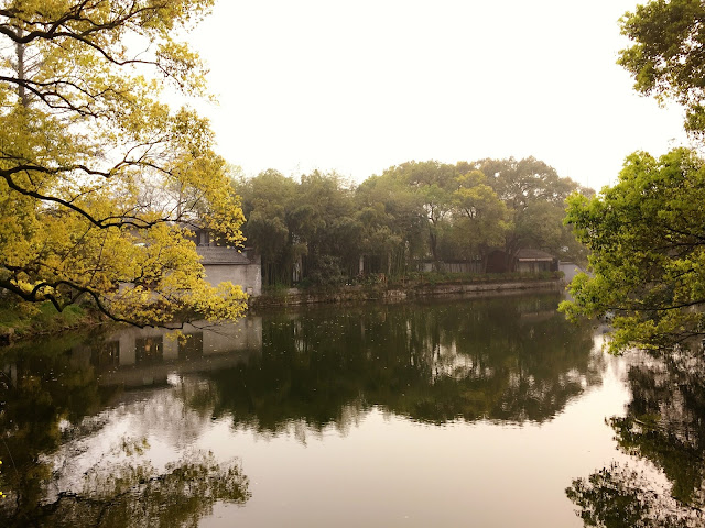 杭州西湖柳浪闻莺