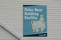 Polar Bear Holding Facility where the put Polar Bear to save their as well as others life