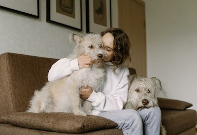 Woman sitting on a couch with two white dogs