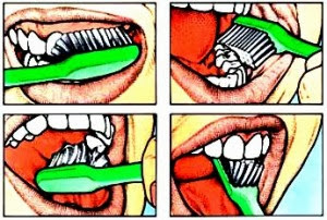 Langkah Menyikat Gigi yang benar