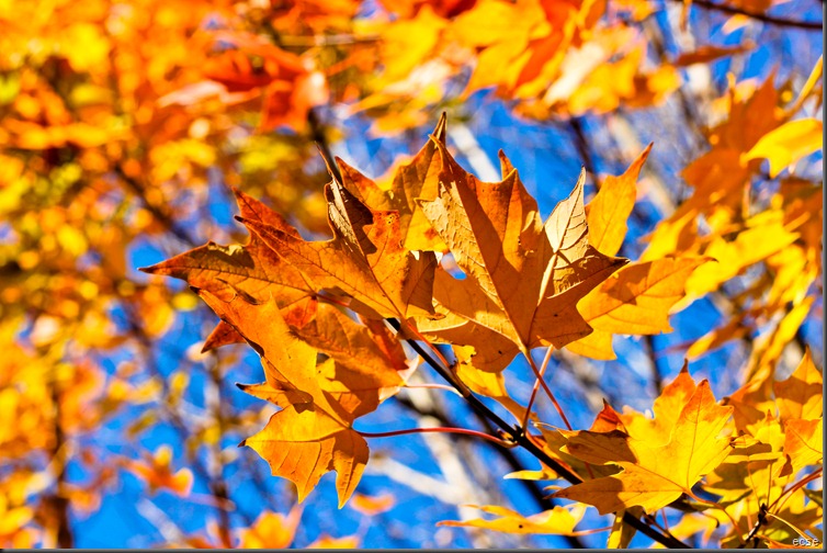 Fall 2010 139