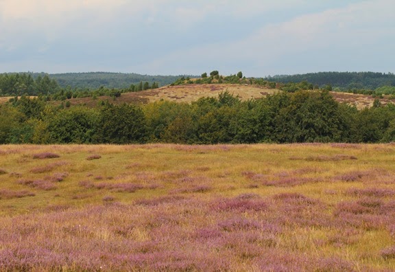Drakamöllan ånyo 022