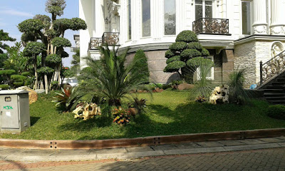 http://greengardenasri.blogspot.com/2019/07/tukang-taman-jombangjasa-tukang-taman.html?m=1