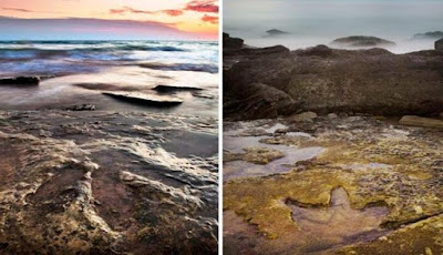 Jejak Kaki Dinosaurus Terbesar ditemukan di Australia