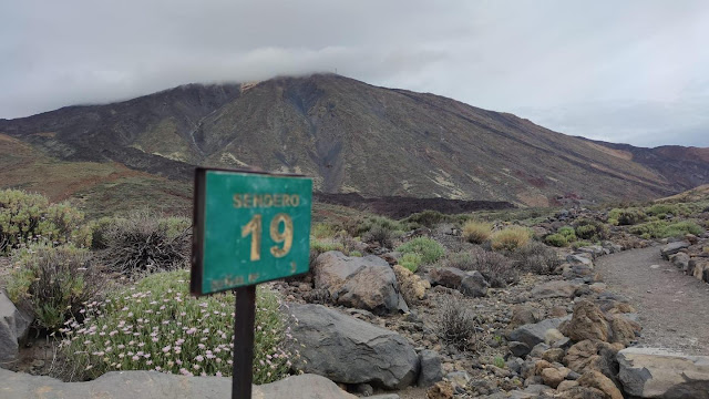 Explorando la maravilla natural del Parque Nacional del Teide