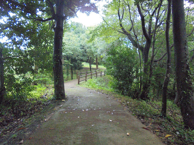 弥生の森の遊歩道