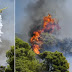  Φωτιά στην Αχαΐα: Μια σύλληψη για την πυρκαγιά στην περιοχή της Καλλιθέας -Η ανακοίνωση της Πυροσβεστικής