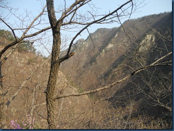 DSCN0434