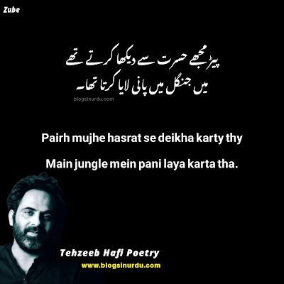 Tehzeeb Hafi Poetry