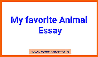 Essay on my favourite animal | My Favourite Animal Essay