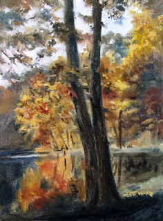 Autumn Woods by Jeff Ward