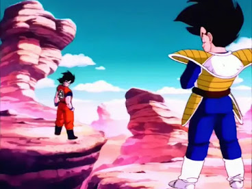 Goku and Vegeta Dragon Ball Z