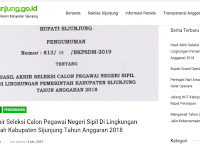 Pengumuman Hasil Akhir CPNS 2018 Kabupaten Sijunjung