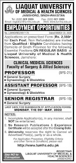 Liaqat University of Medical & Health Sciences Job Advertisement 2022