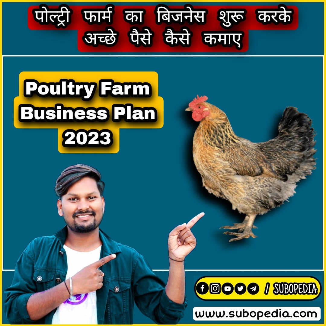 Poultry Farm Business Plan in Hindi