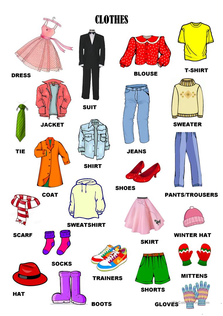  CLOTHES IN ENGLISH  5  MY ENGLISH  AND SCIENCE