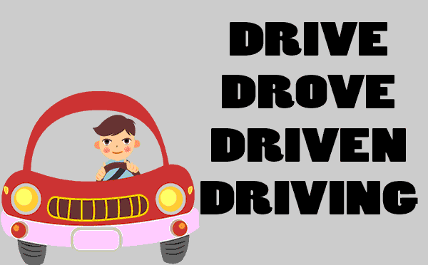 Drive-Drove-Driven-Driving-Contoh-dan-artinya