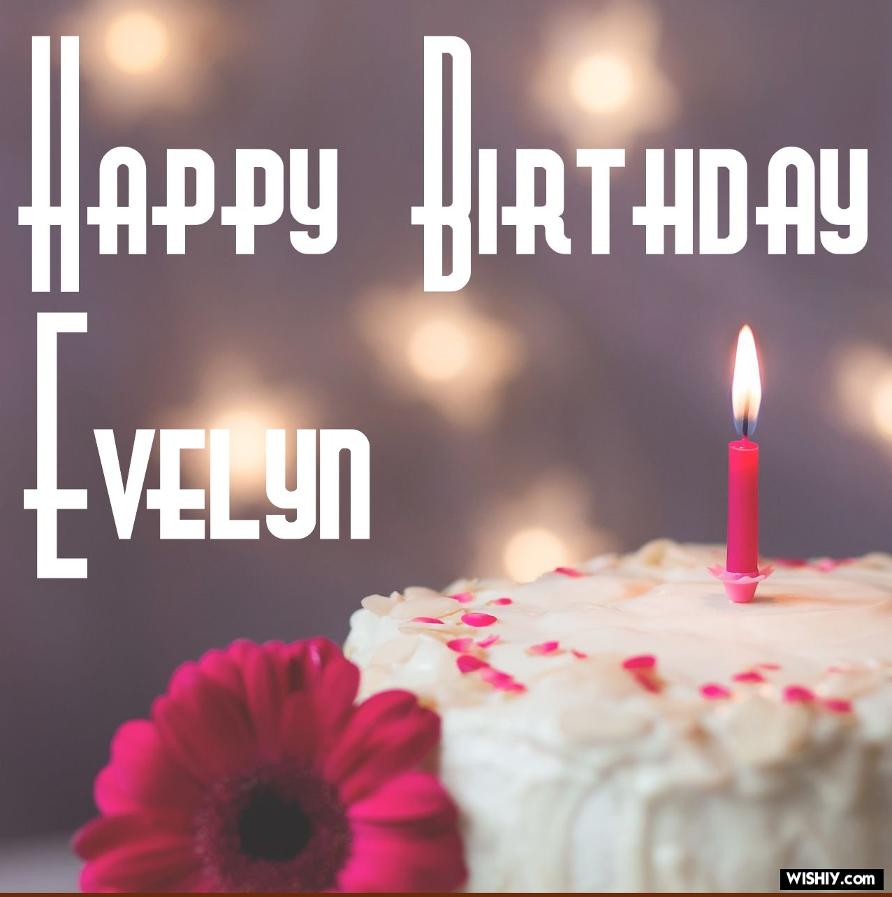 happy birthday evelyn images