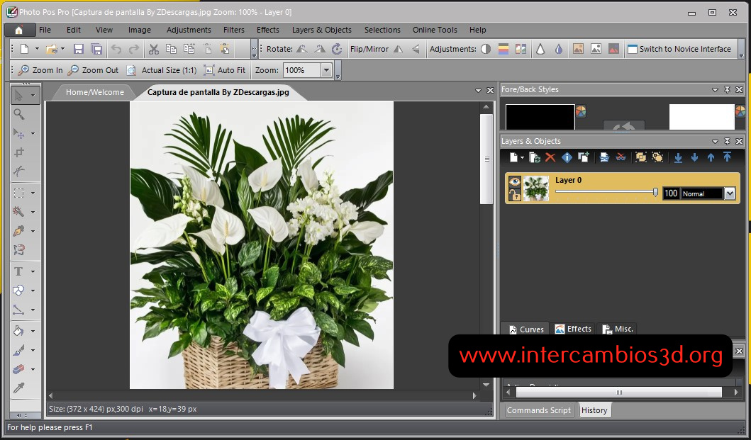 Photo POS Pro full 2025