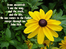 John 14 6 Bible Quote