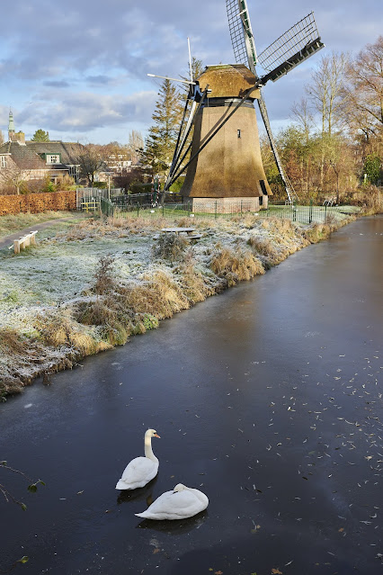 zomaar een foto die iedereen gebruiken mag