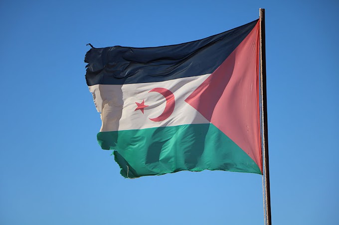 Una diplomacia saharaui espectadora de la inercia política; error de cálculo