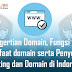 Pengertian Domain, Fungsi Dan Manfaat Domain Serta Penyedia Hosting Dan Domain Di Indonesia