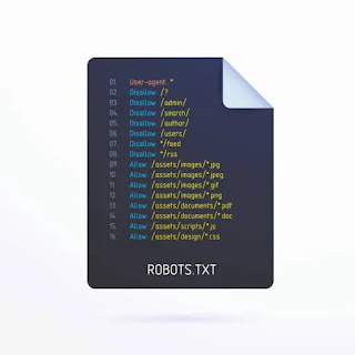 robots.txt header tag