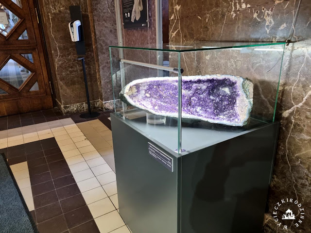 Na wystawie w Muzeum Geologicznym