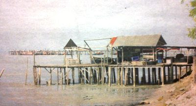 Tanjung Sepat Waterfront dwelling
