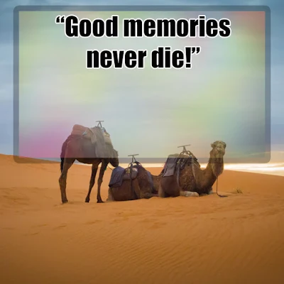 Quotes about good Memories and Sayings