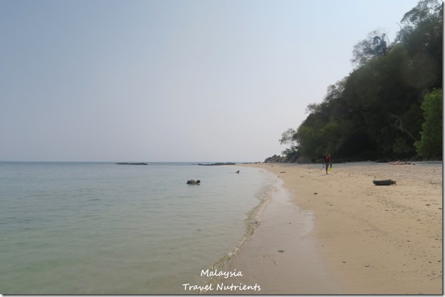 沙巴亞庇馬穆迪島 (21)