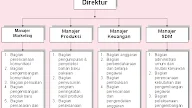 Contoh Job Vacancy For Senior High School
