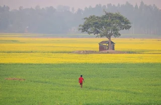 প্রাকৃতিক ছবি ডাউনলোড