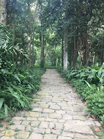 Parque Lage