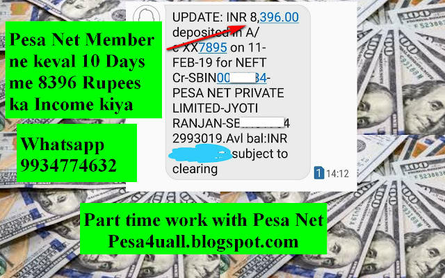 Pesa net Member ne 10 February 2019 ko keval 10 Days me 8396 Rupees ka Income kiya | Pesa Net payment proof | Pesa net Bank payment proof