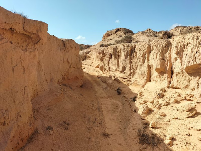 Barranco del Jable Fuerteventura