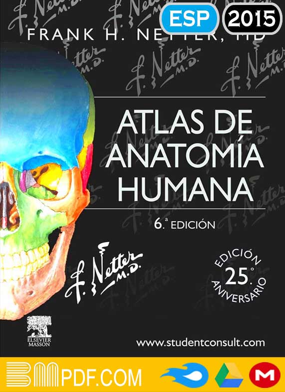 Netter Atlas de Anatomía Humana 6ta edición PDF, Anatomía Humana