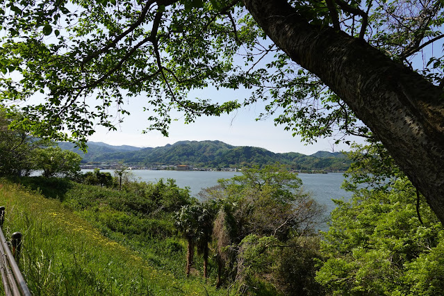 東郷湖一周ウォーキングコースからの眺めが綺麗です